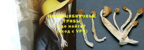 ГАЛЛЮЦИНОГЕННЫЕ ГРИБЫ Навашино