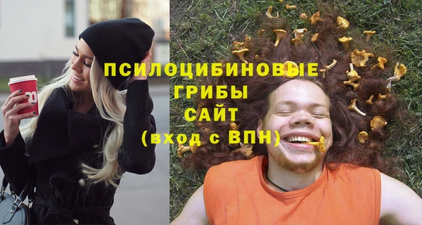 ГАЛЛЮЦИНОГЕННЫЕ ГРИБЫ Навашино