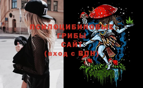 соль ск Надым