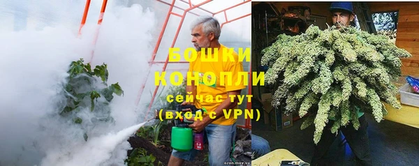 ГАЛЛЮЦИНОГЕННЫЕ ГРИБЫ Навашино
