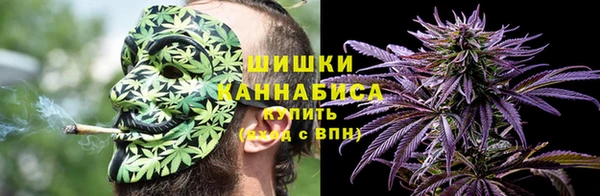 ГАЛЛЮЦИНОГЕННЫЕ ГРИБЫ Навашино