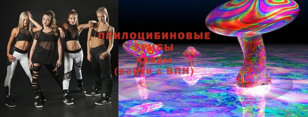 соль ск Надым