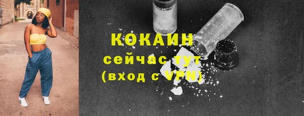 соль ск Надым
