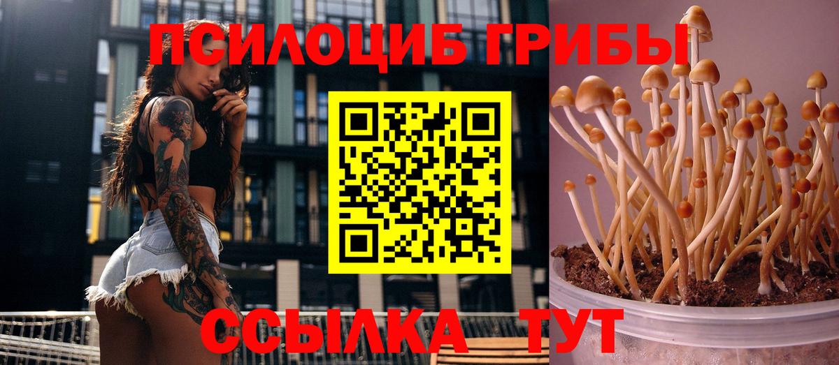 Галлюциногенные грибы прущие грибы Южно-Сахалинск