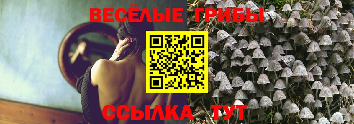 Южно-Сахалинск  Галлюциногенные грибы прущие грибы  Вход с VPN  Псилоцибиновые грибы ЛСД 